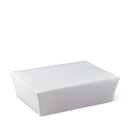 DET LUNCH BOX LARGE WHITE (50PCS X 4SLV)